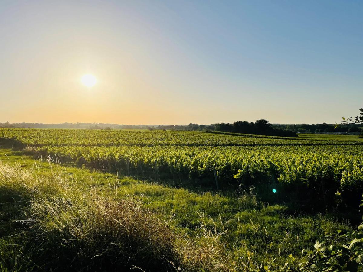 לינה וארוחת בוקר Teuillac La Vigne D'Or מראה חיצוני תמונה
